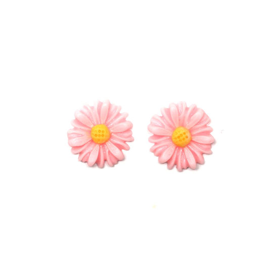 Baby pink daisy flower